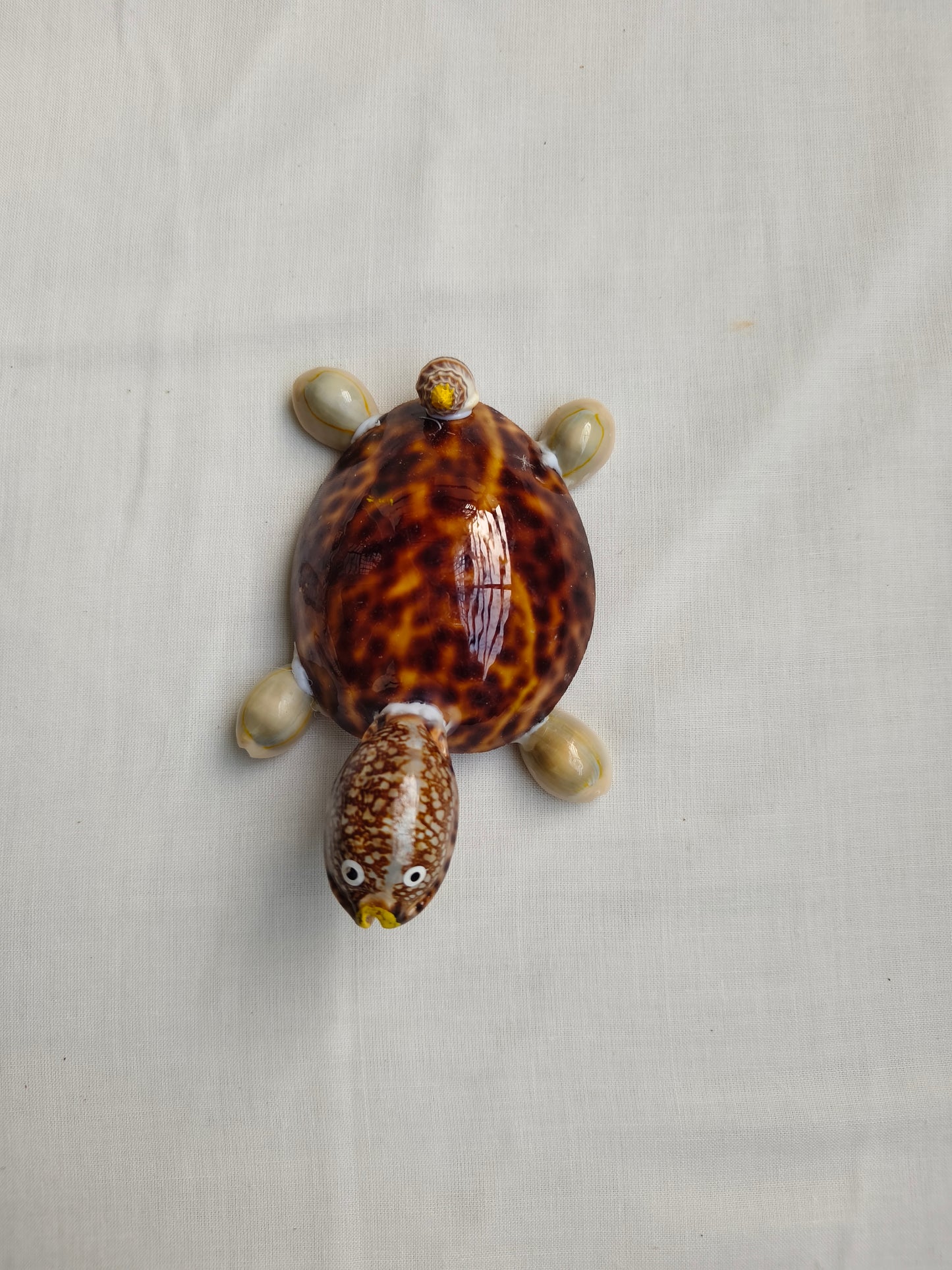 கடற்சங்கு ஆமை கைவினைப் பொருள் (Seashell Tortoise Craft)