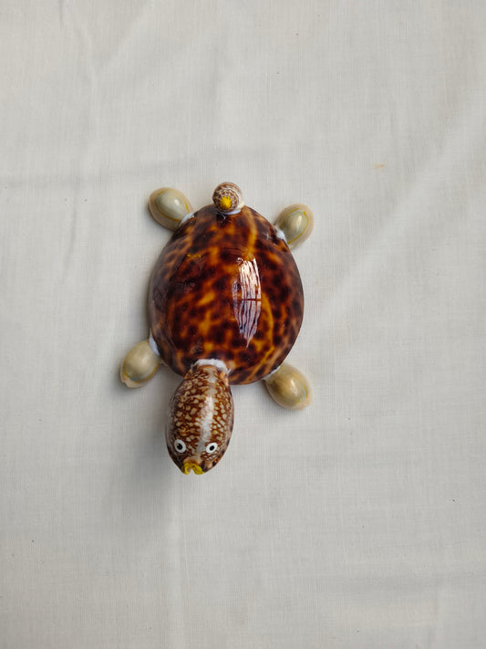 கடற்சங்கு ஆமை கைவினைப் பொருள் (Seashell Tortoise Craft)