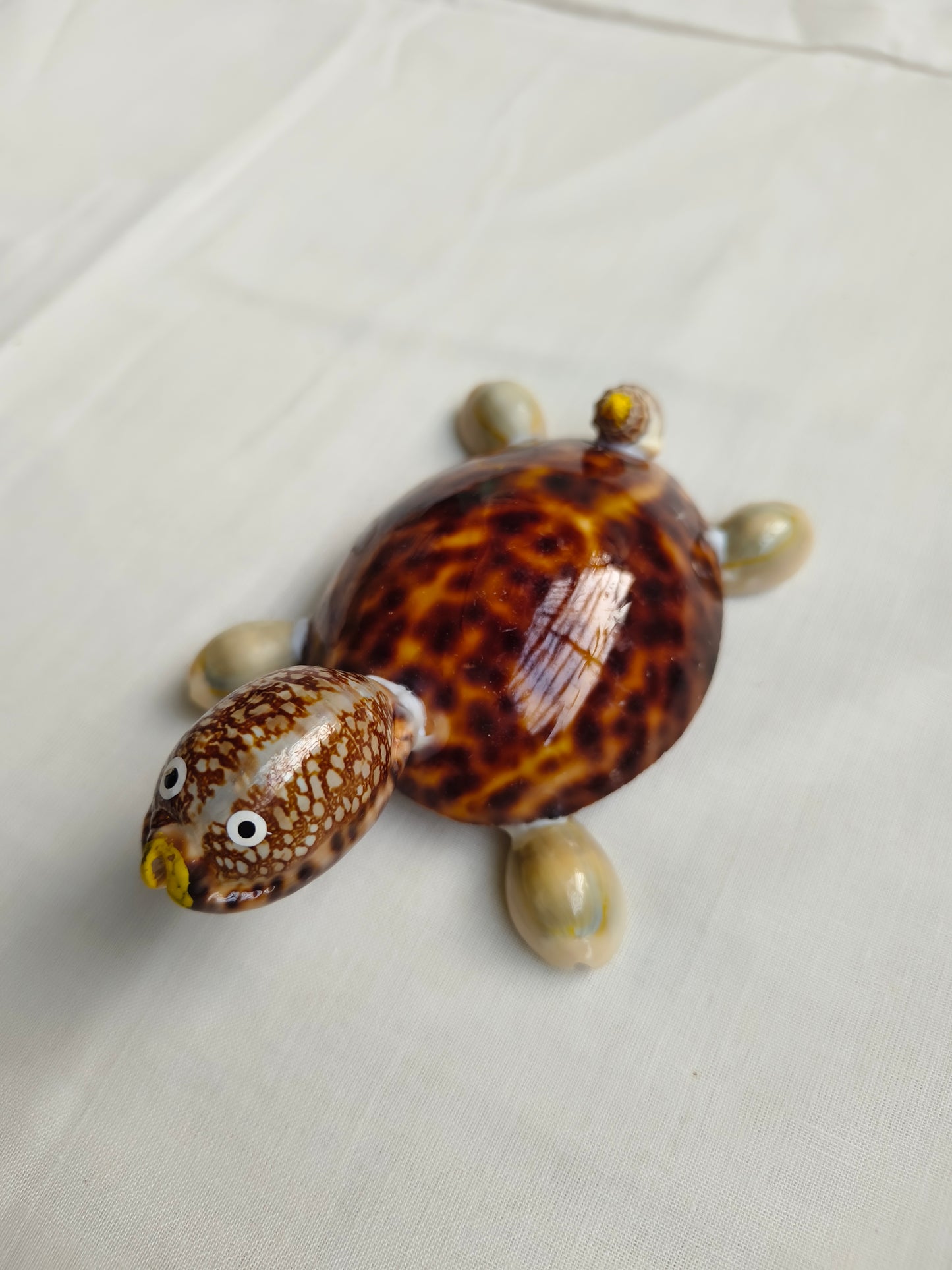 கடற்சங்கு ஆமை கைவினைப் பொருள் (Seashell Tortoise Craft)