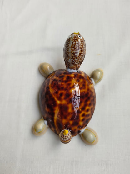 கடற்சங்கு ஆமை கைவினைப் பொருள் (Seashell Tortoise Craft)